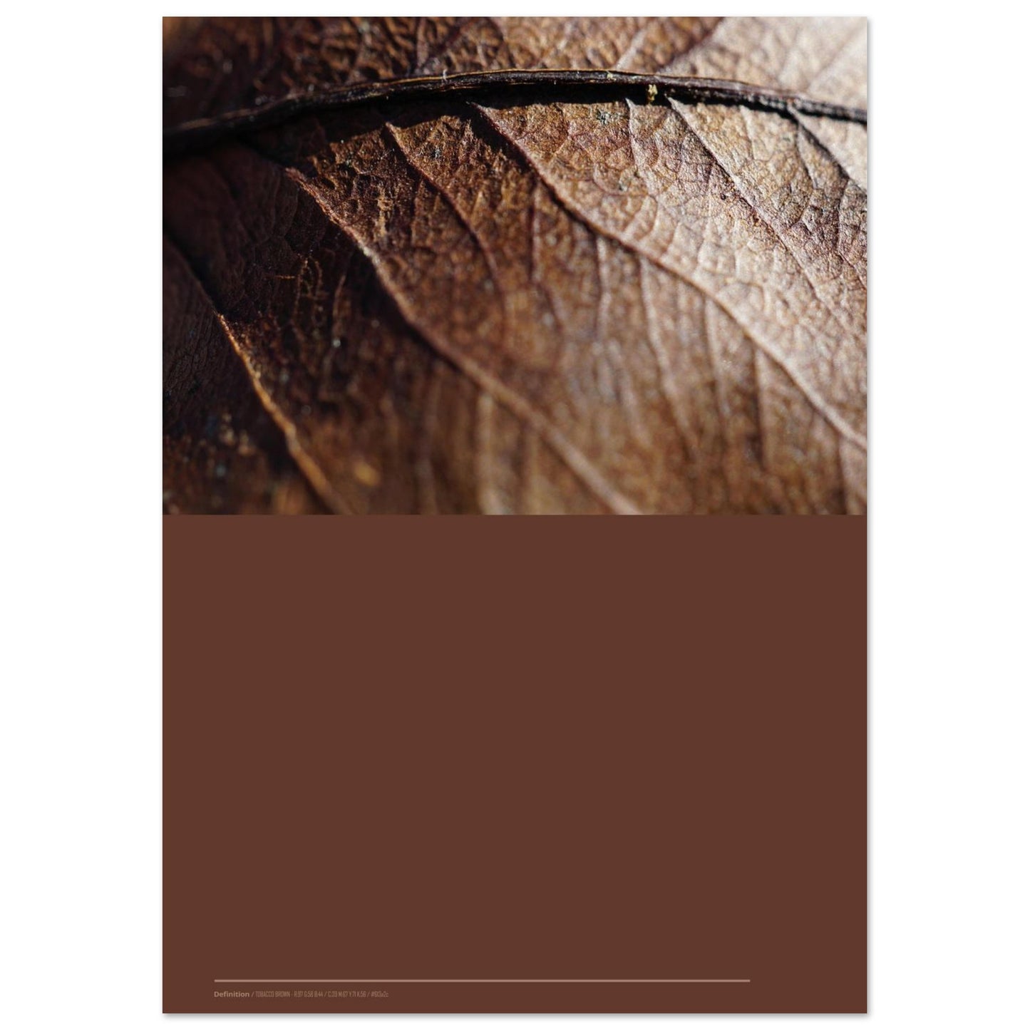 08ed4e68-a7a1-43a5-8f8e-bcf285587fec