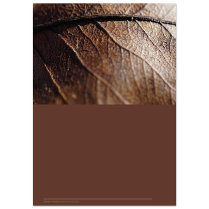 08ed4e68-a7a1-43a5-8f8e-bcf285587fec