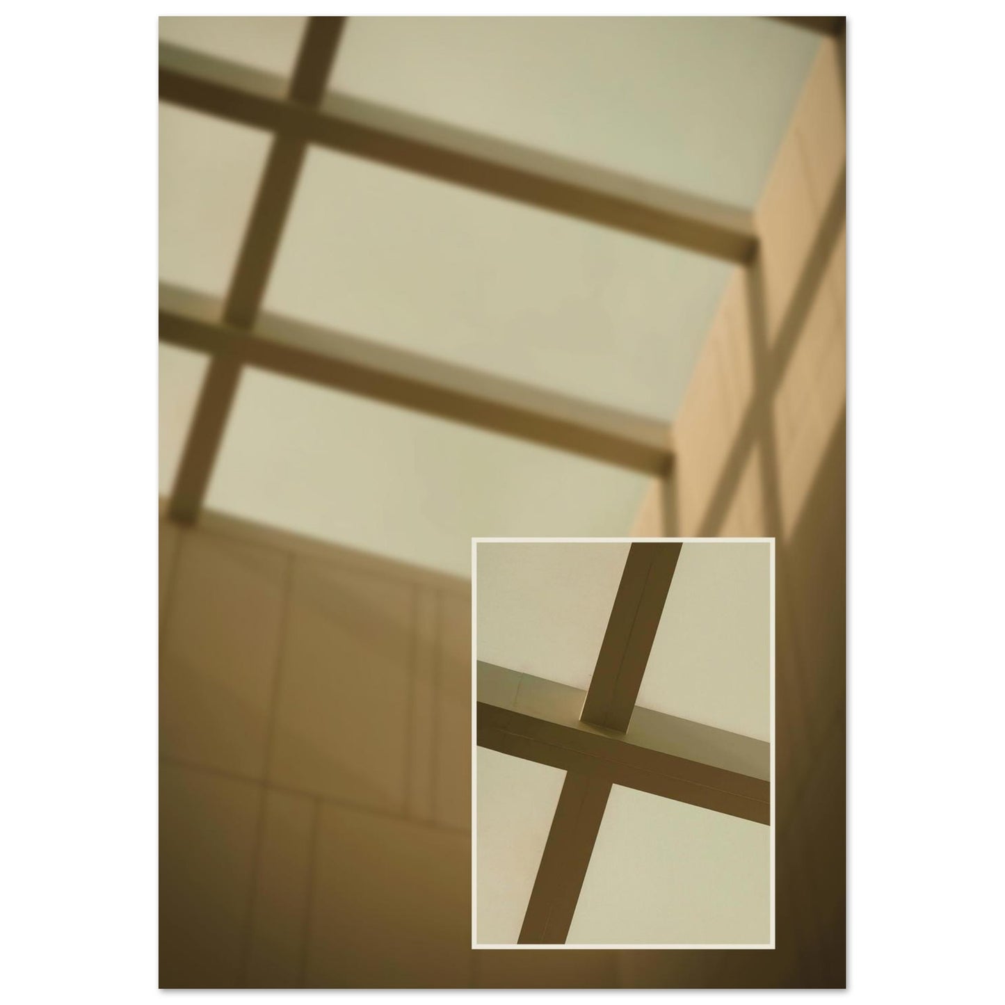 0d15d4c3-9897-446d-93a7-1ac3f2b63991