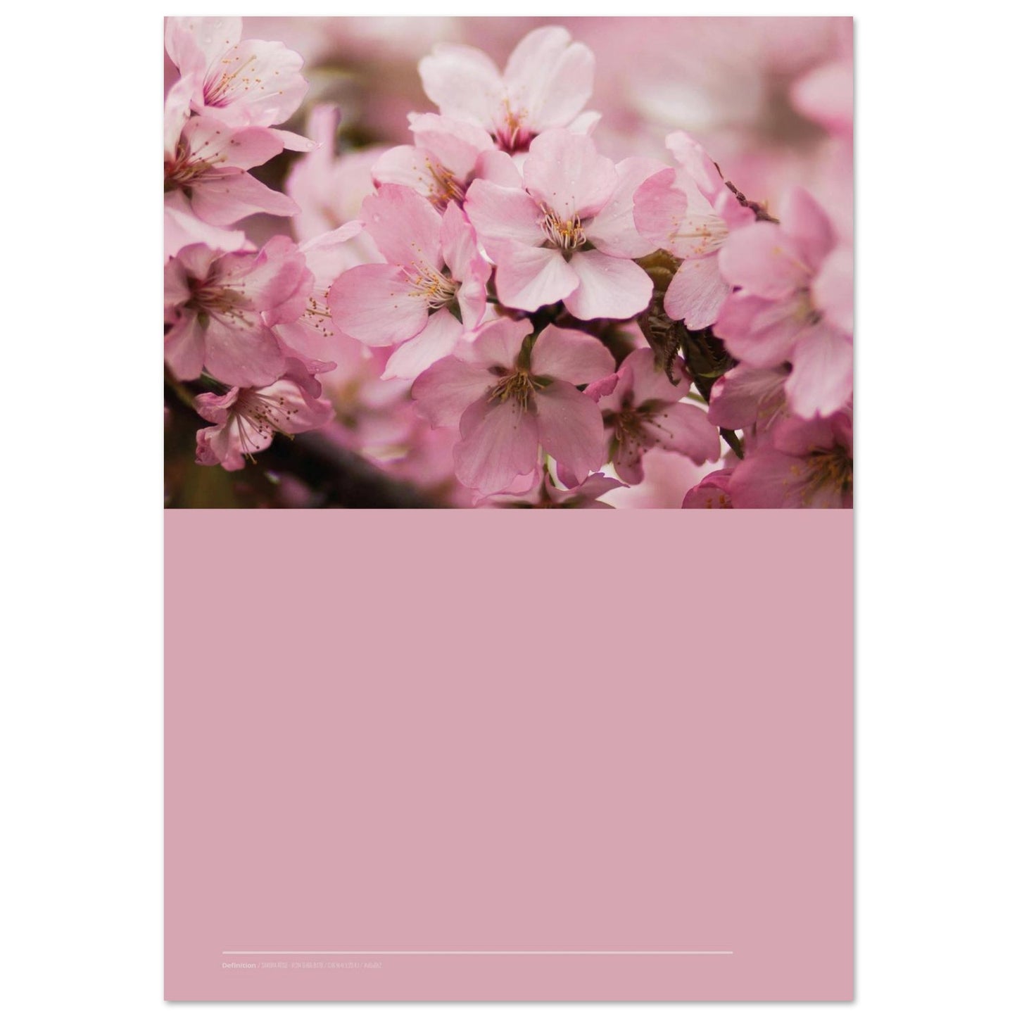 0fa3bcbe-d4ce-423f-8a94-d71a1cce5801