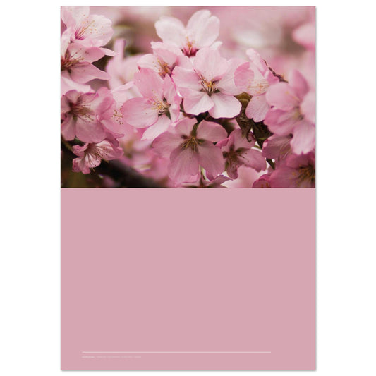 0fa3bcbe-d4ce-423f-8a94-d71a1cce5801