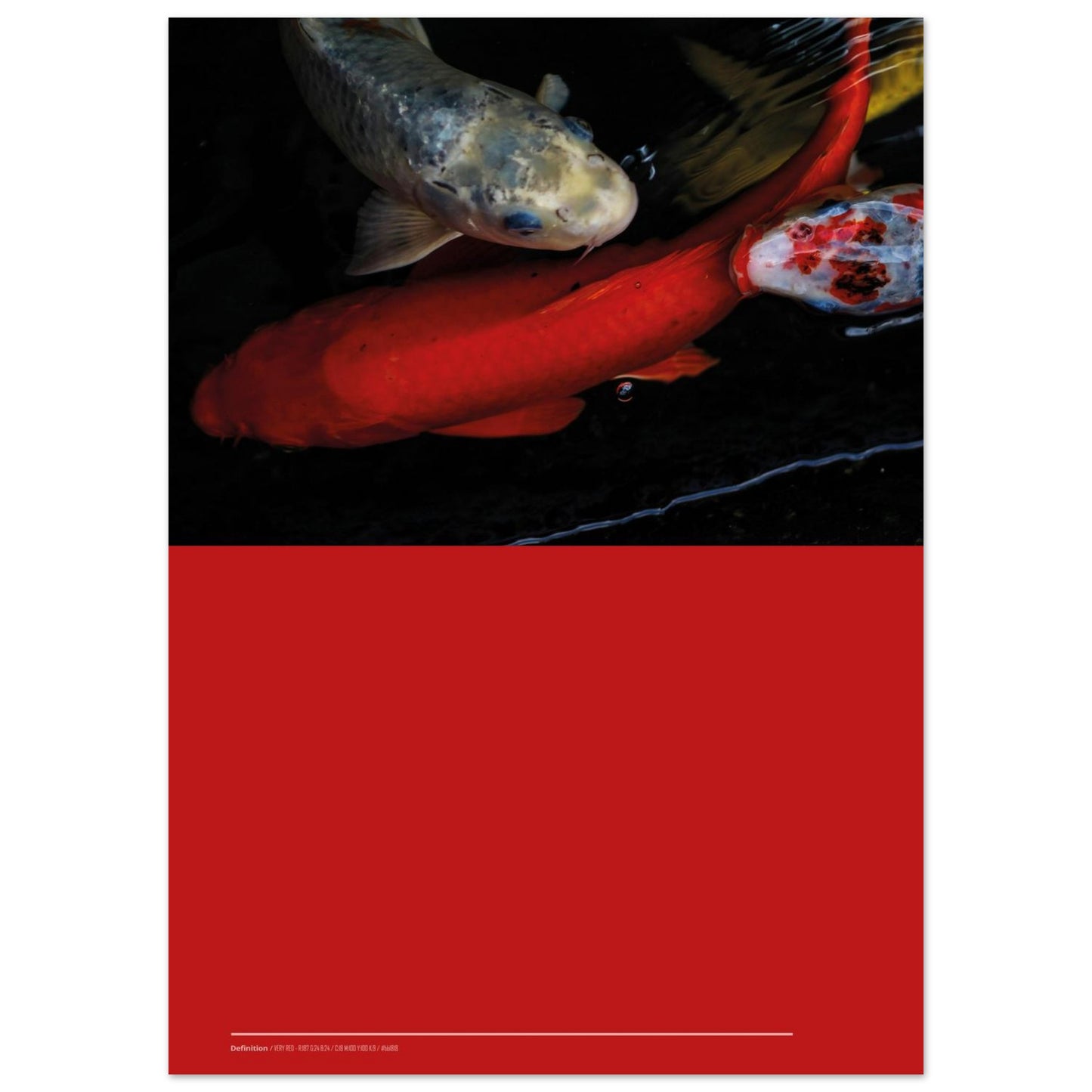 26883d2d-a239-4dae-aa12-0d50d169e0d6