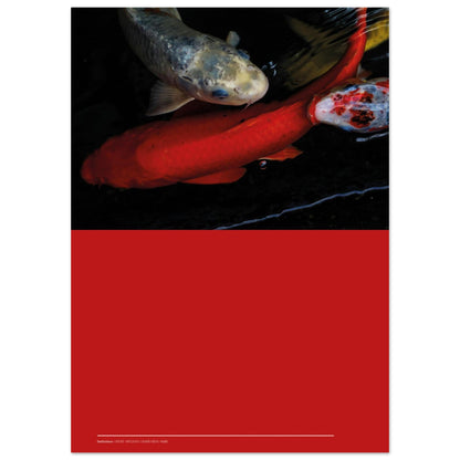 26883d2d-a239-4dae-aa12-0d50d169e0d6