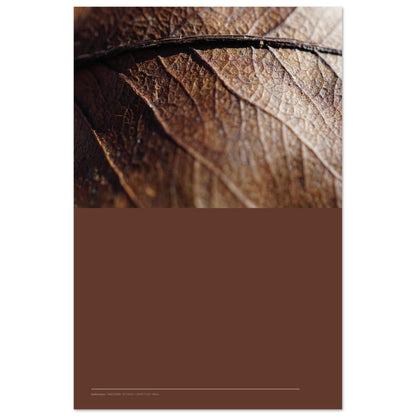 2a094f42-d453-44be-bfe0-08c706859b8a