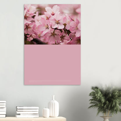 314259e8-a66d-4d6d-9b7d-ce5bba191291