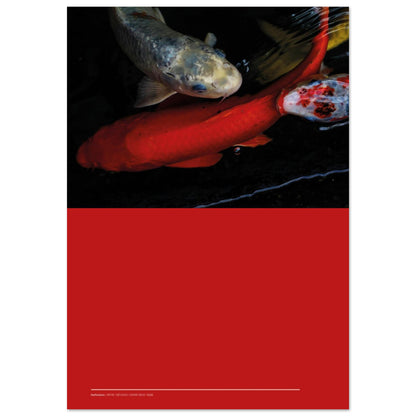 382e1f25-1311-4a10-ba06-aef584d68e86