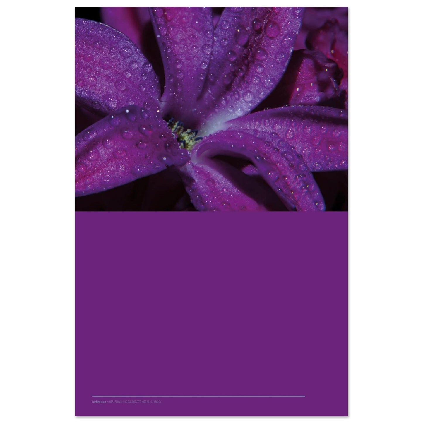 41d4d421-a2bf-46d8-8a81-4f65cc94b121