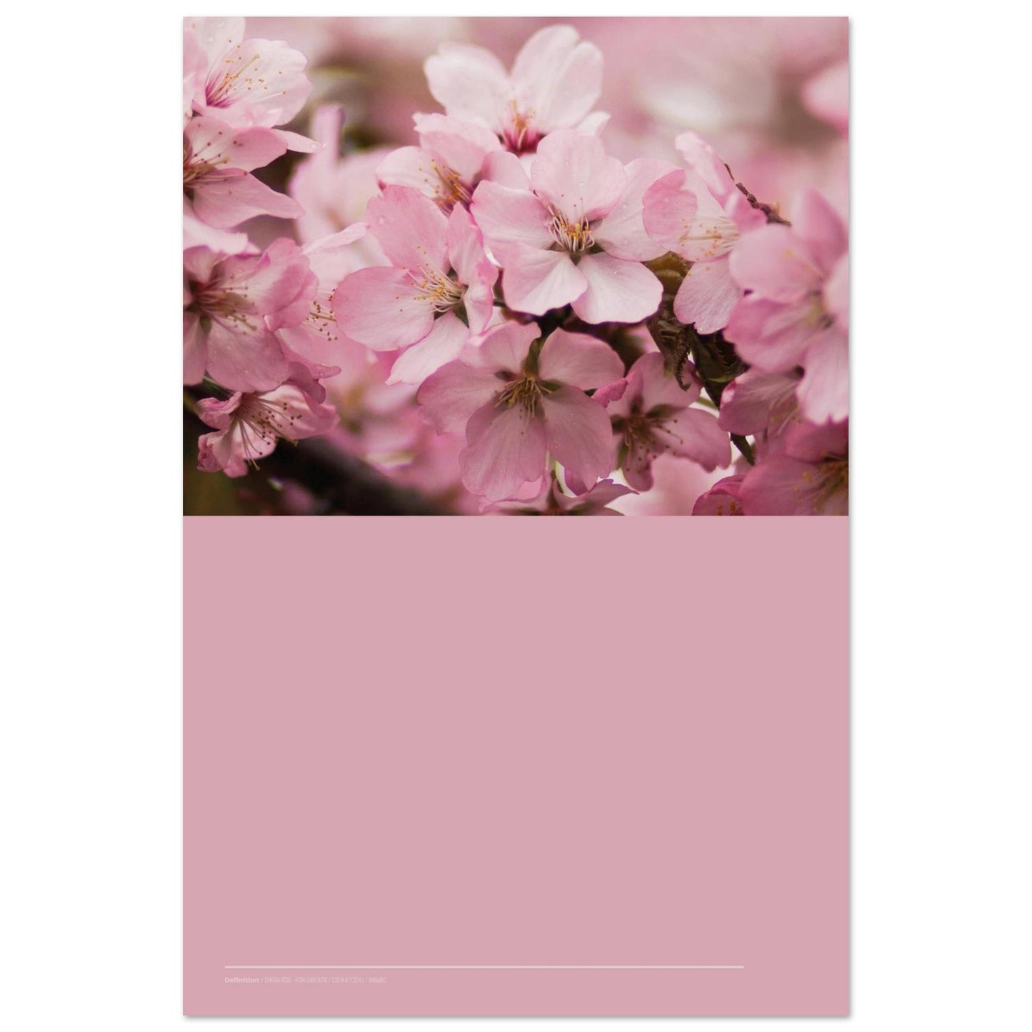 483e630a-2f6a-4773-9f22-ac9a720cb905