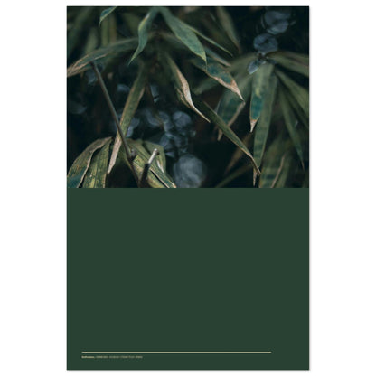 4e6ce407-f69b-4519-82bf-194d0c2b015e