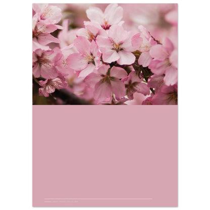 5996e070-8f08-48fd-a792-01044291f860