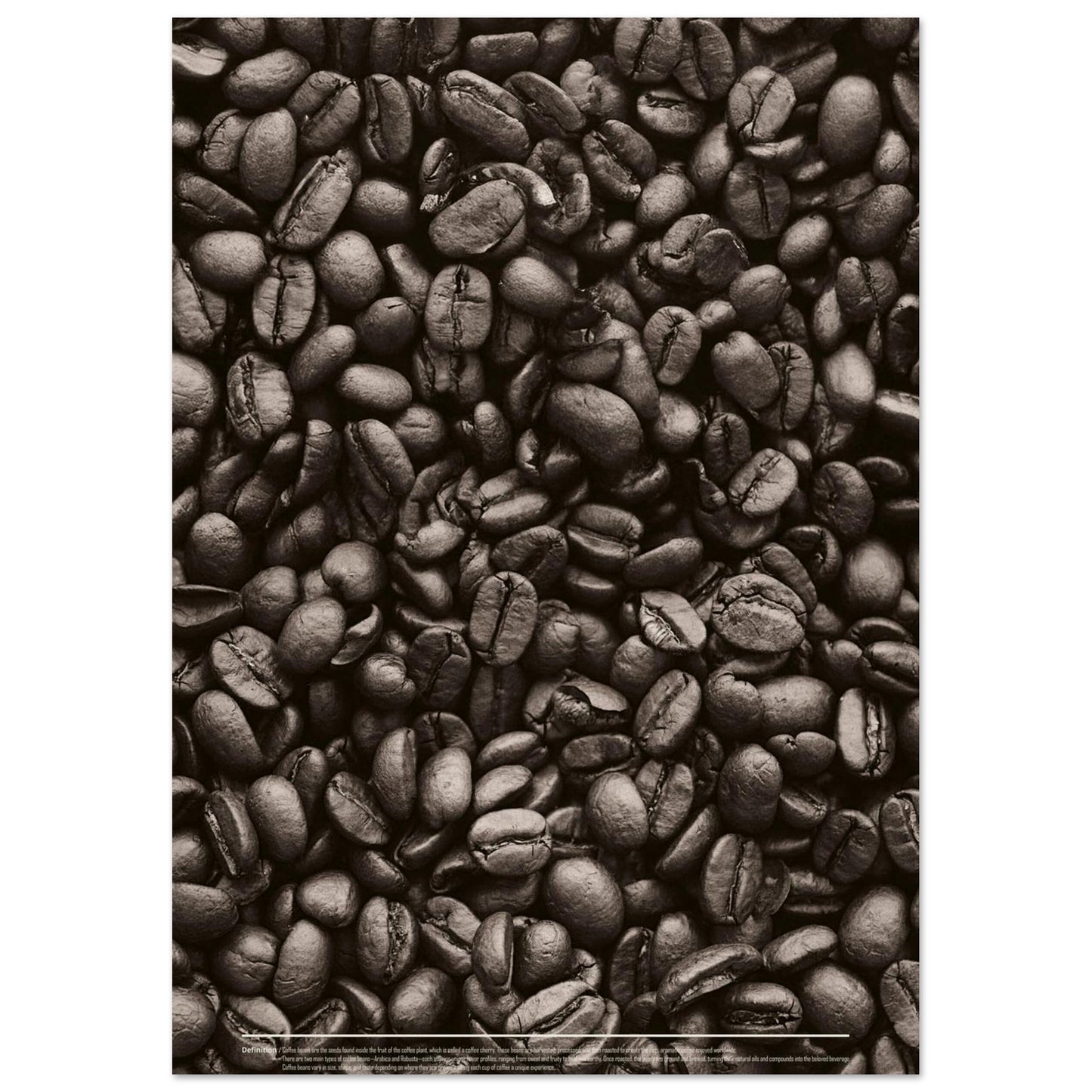 5c6434ba-2959-4e86-ab0e-2a8ad53bc7e4