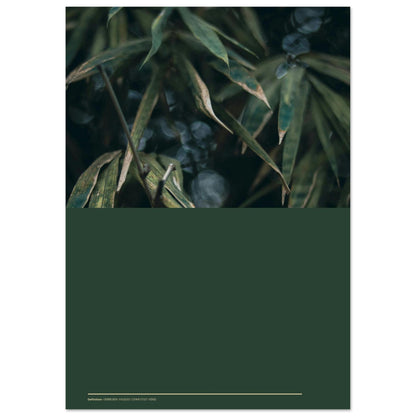 67b480fd-f49d-459a-b062-3475b43d2c96