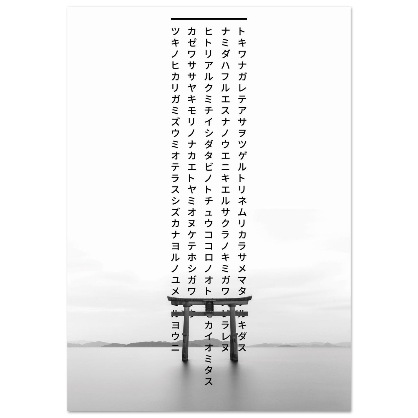 8bfc012e-6ed5-41e2-b8a5-838b2fe73595