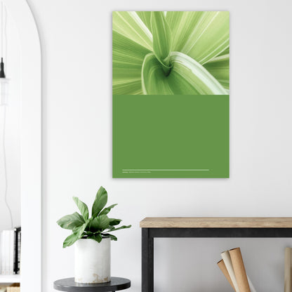 8c33706d-ccd6-4688-8764-4dc6d87563d7