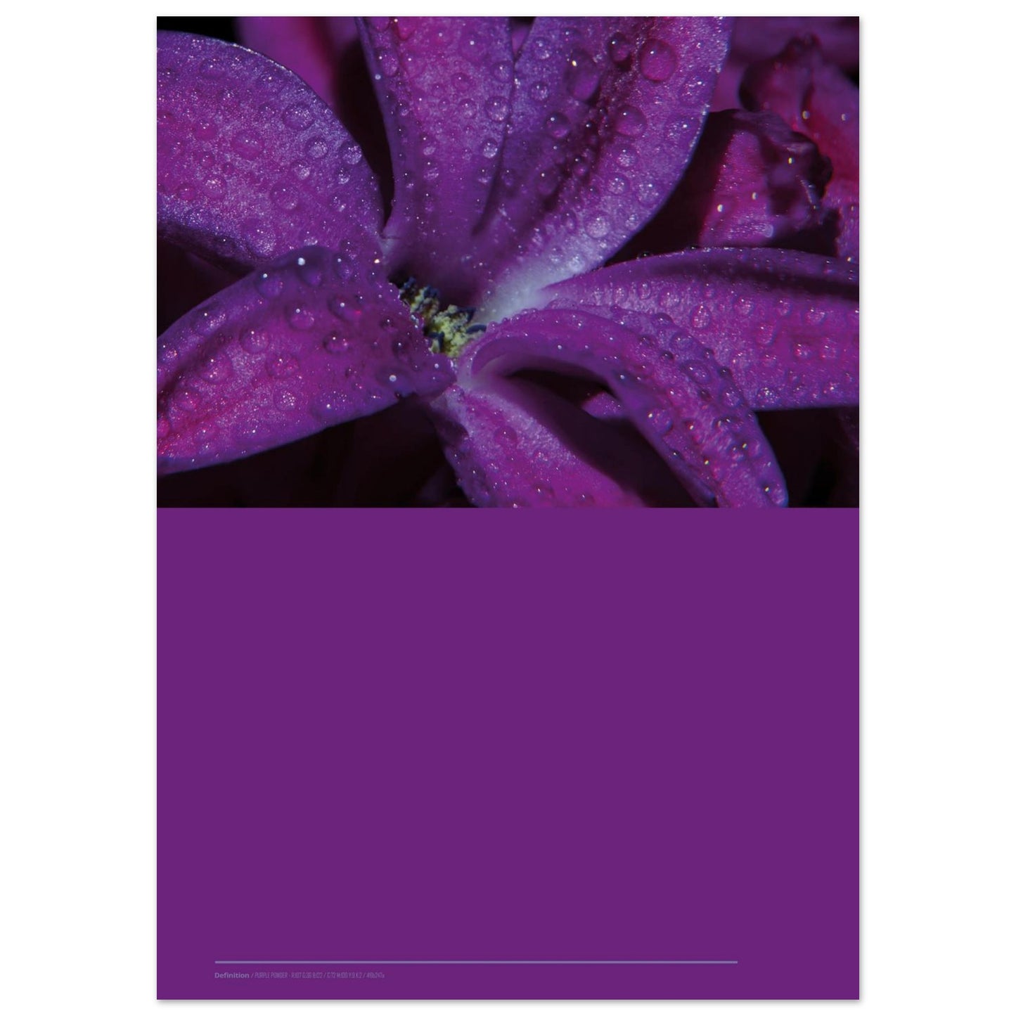 8db96055-e78a-46ad-86f8-c9b4cdb412a6