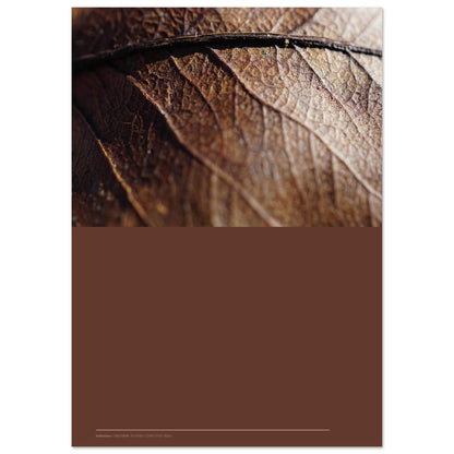 8f504042-0975-49ca-a6ac-7b8f6074e6f1