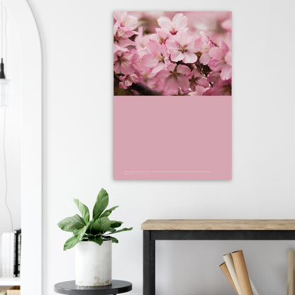 99e4c160-f2fc-4768-bef6-f810794f3abd