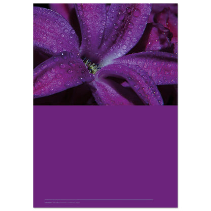 9fad8052-418f-47fd-964f-85c96db730e2