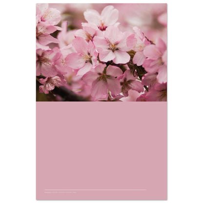 a70e3346-2565-4b9a-bad4-dc066521afcd