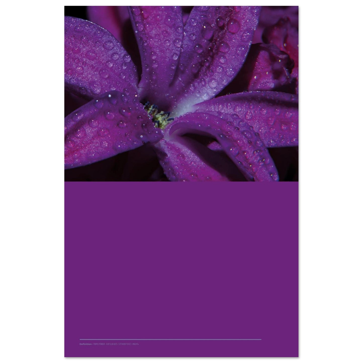 b13bf7ed-54d3-4888-9ee9-68329891a35c