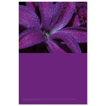 b13bf7ed-54d3-4888-9ee9-68329891a35c