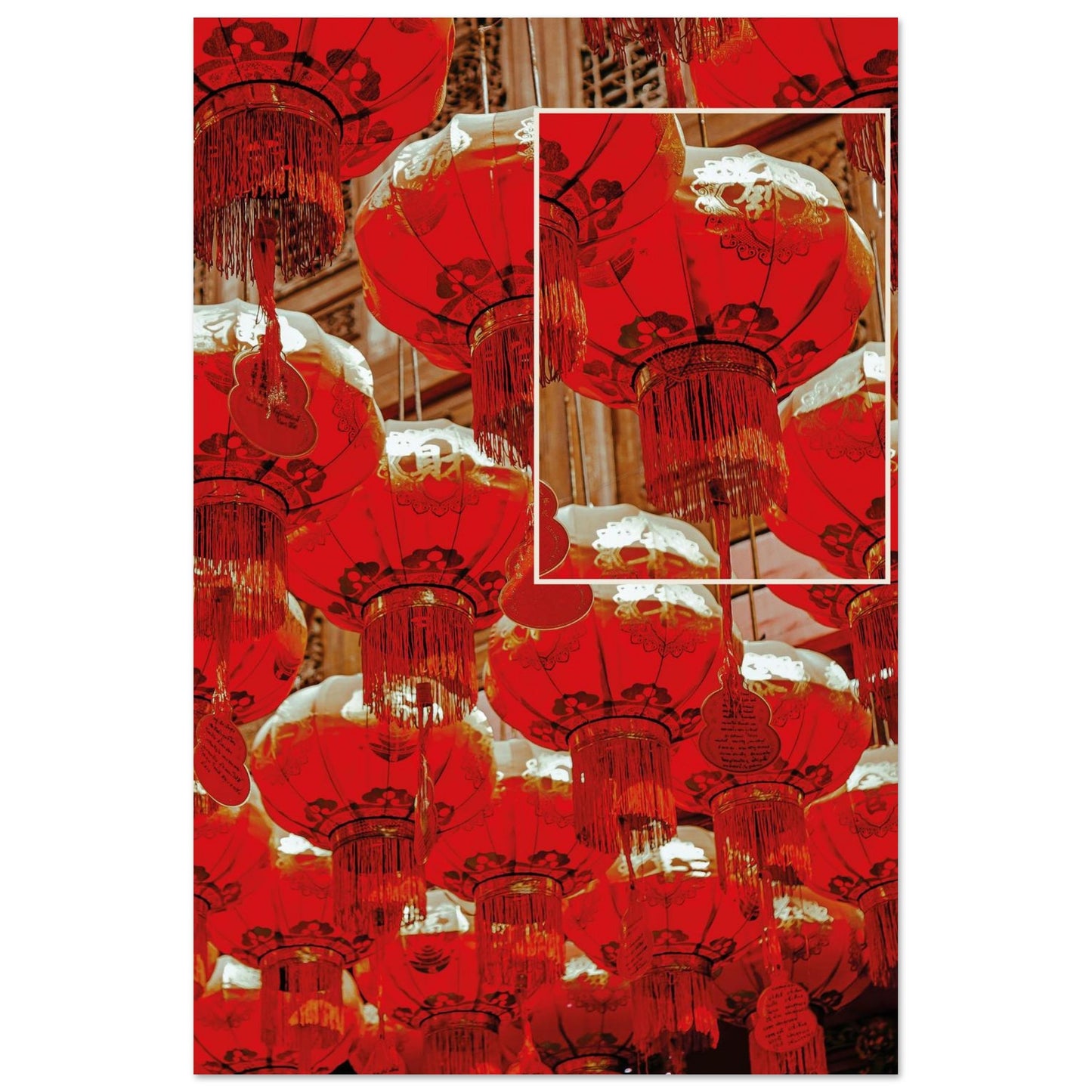 b2555b70-cda3-40b8-b817-50da1d1eccbe