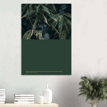 b816989d-3479-4ac5-ba98-a466ea229091