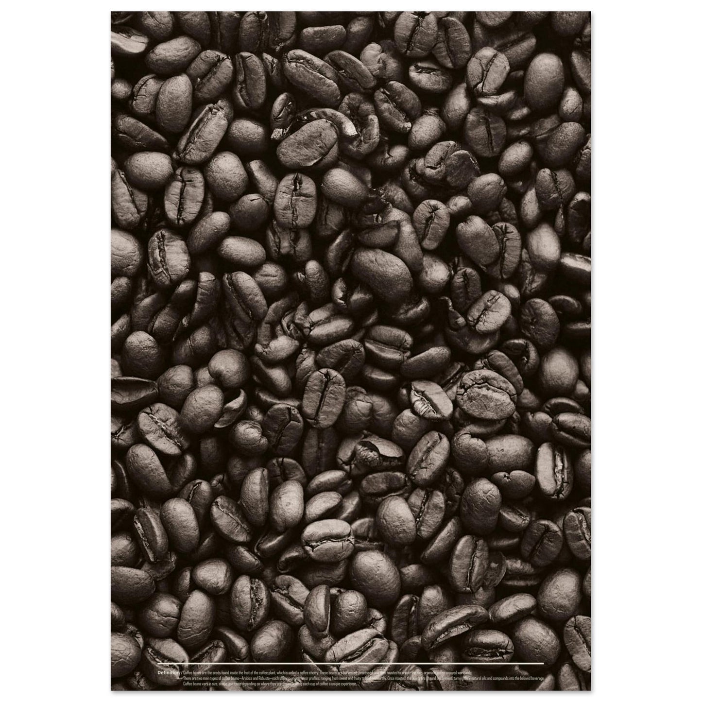 c6884eda-d97d-4c34-a127-bbf3769bcfb1