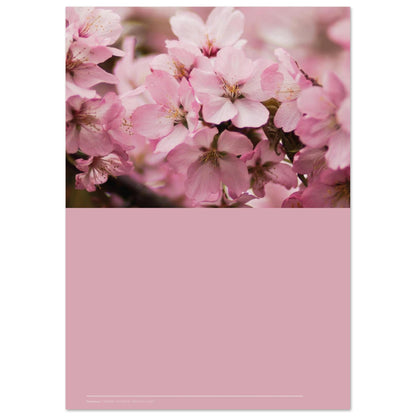 c8978e61-edea-4c89-8cb7-0d10fbd0f2a7