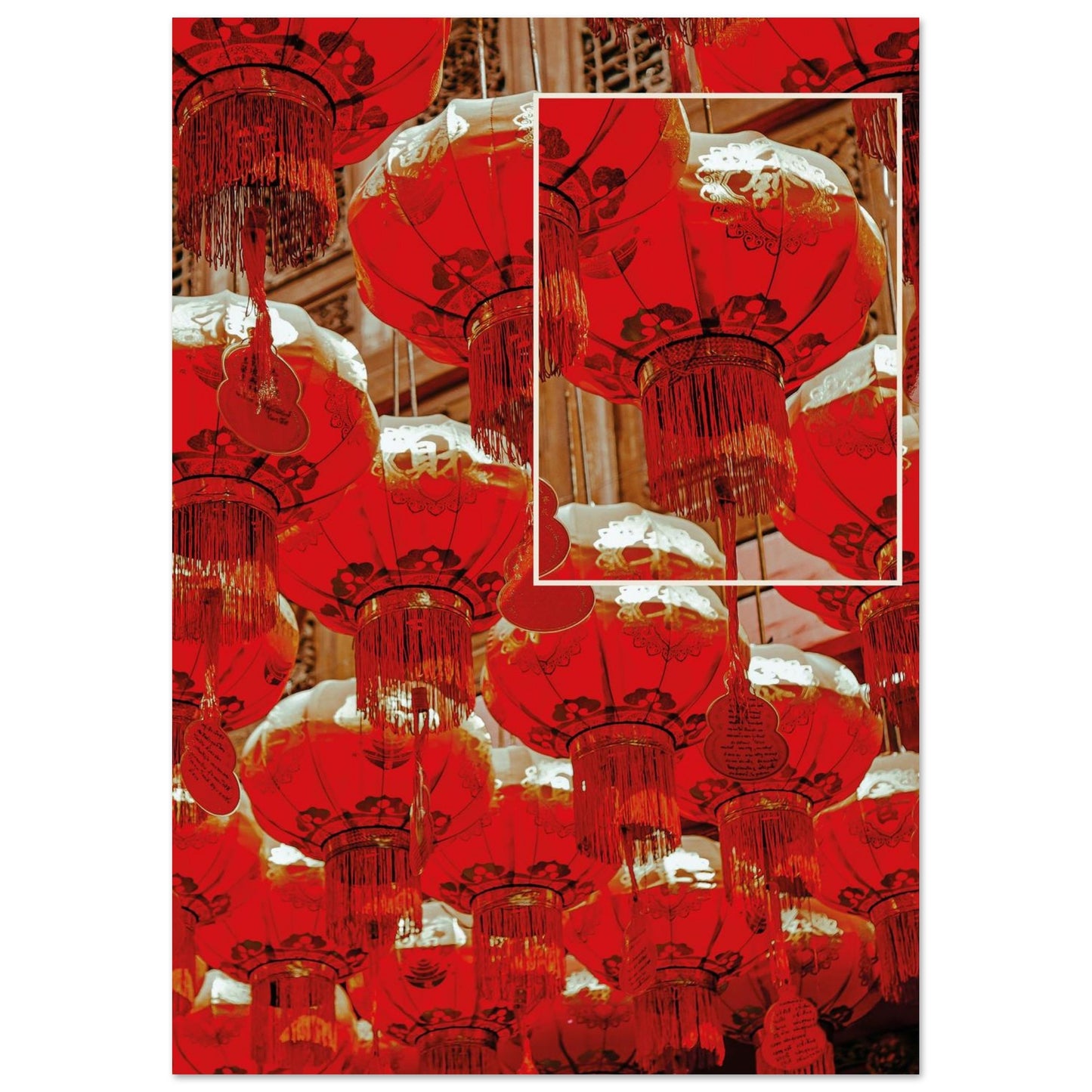 d25e0f86-1ebb-408e-b0c2-a2e3e2522429