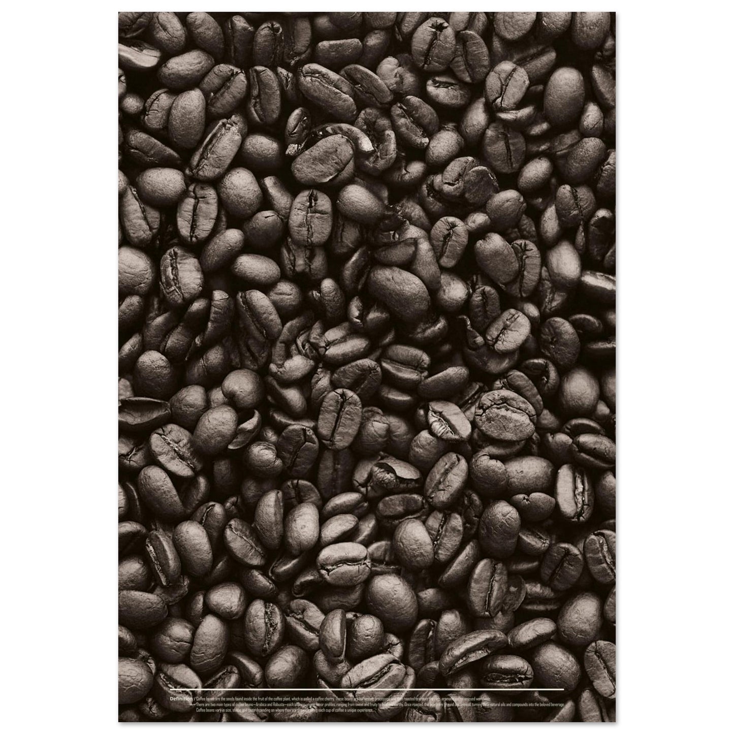 d6b42171-e916-437a-ad47-9695433bd58e