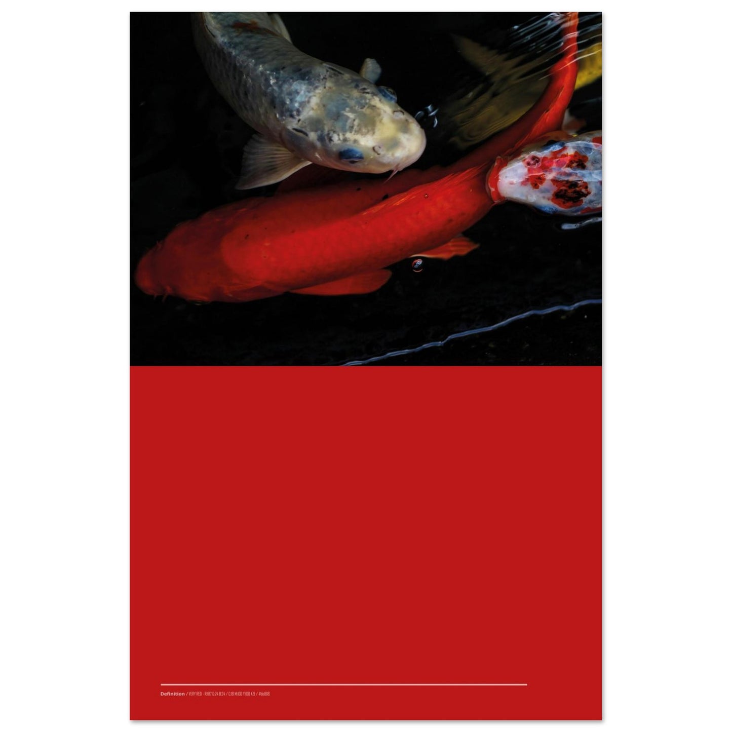 e7f458dc-a378-4419-867b-4426f2eea07d