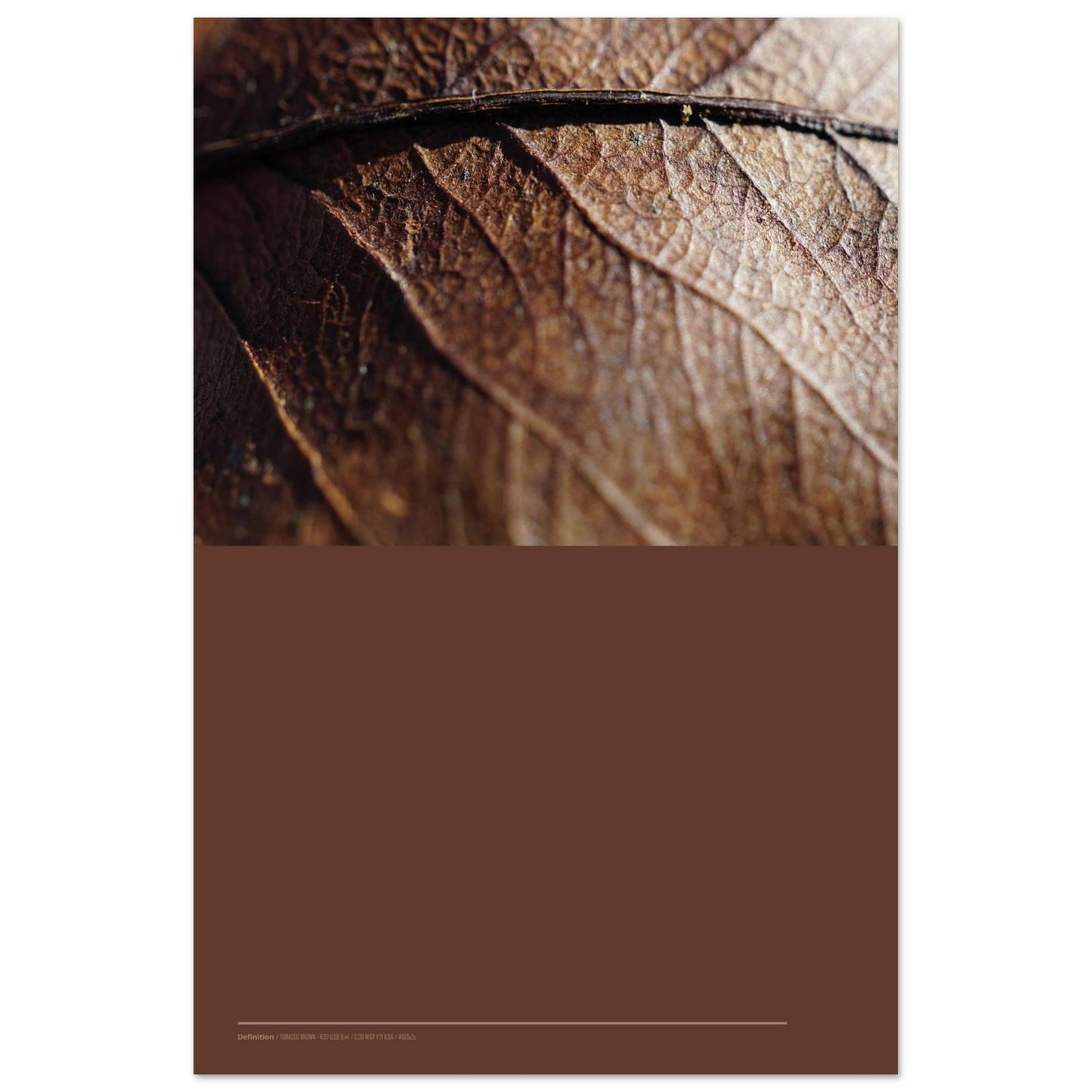 e975ff94-5f5a-49b0-a415-923bb2b5eca0