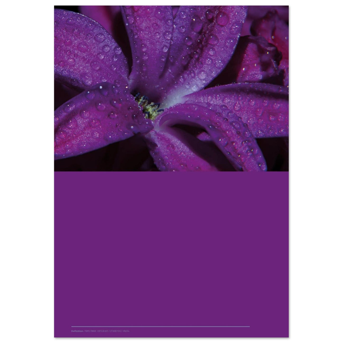 f0adf0be-7139-4c91-b686-247d77172542