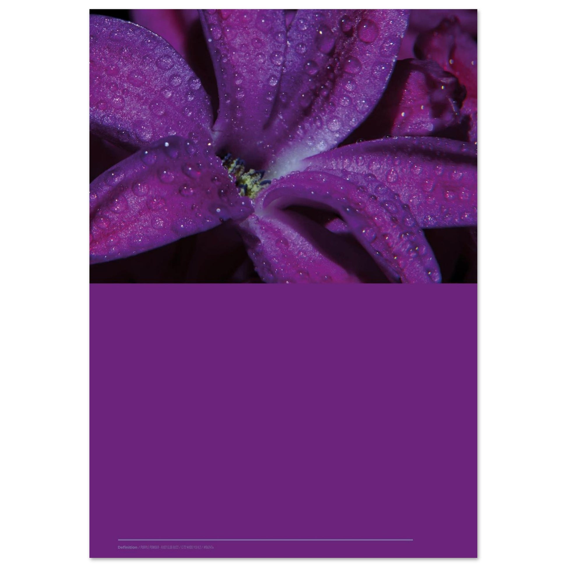 f0adf0be-7139-4c91-b686-247d77172542