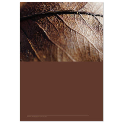 f5dca67d-7ec8-4ab4-a3c1-e698efe6d79a