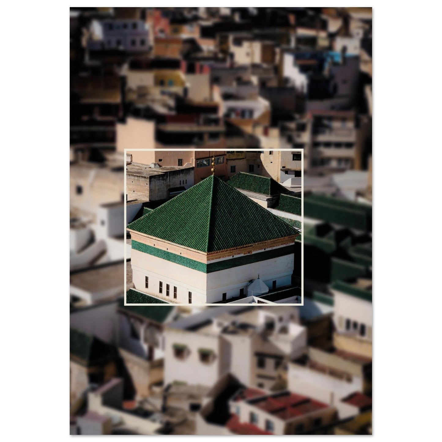 fff61050-16a5-4623-b6d5-ad04940a9950